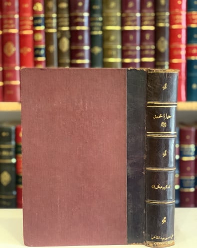 N-حياة محمد/محمد هيكل