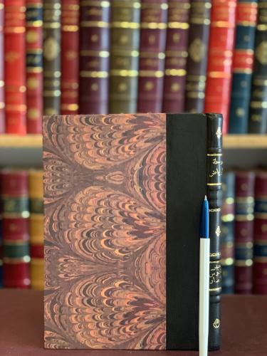 17852-رحلة الرياض /عبدالقدوس الانصاري