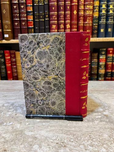 22703-سندباد عصري جولات في المحيط الهندي /حسين فوزي