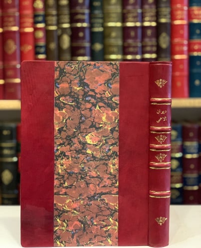 N-ديوان الاعمى التطيلي/احمد عبدالله