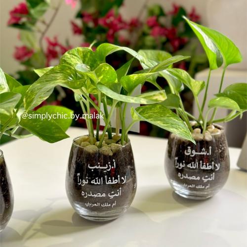 نبتة البوتس مخصصة بعبارة او اسم