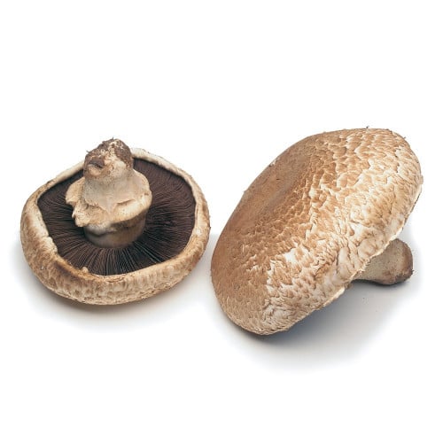 فطر بورتابلو (Portabella Mushroom) (250 جم)