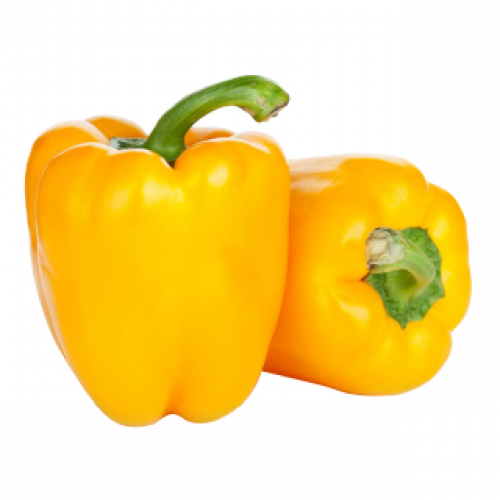 فلفل رومي اصفر