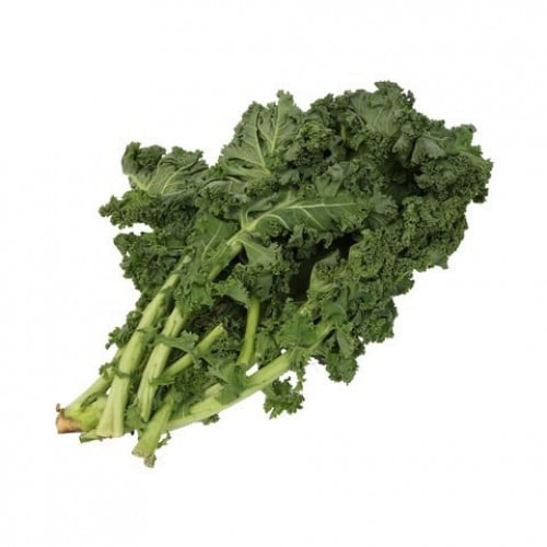 كيل (هولندي)