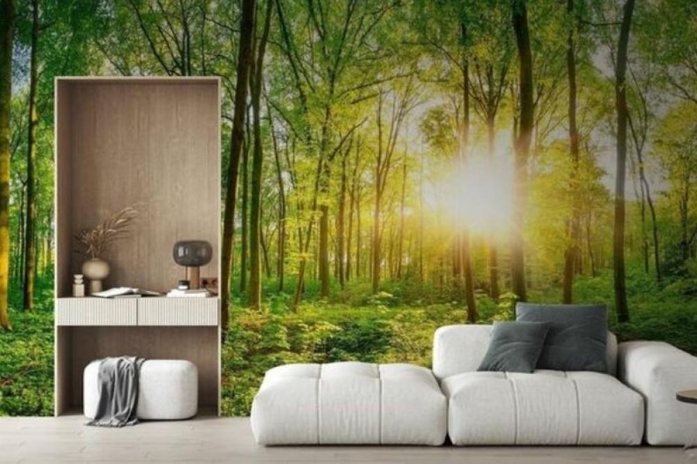 ما هي أفضل أنواع ورق الحائط