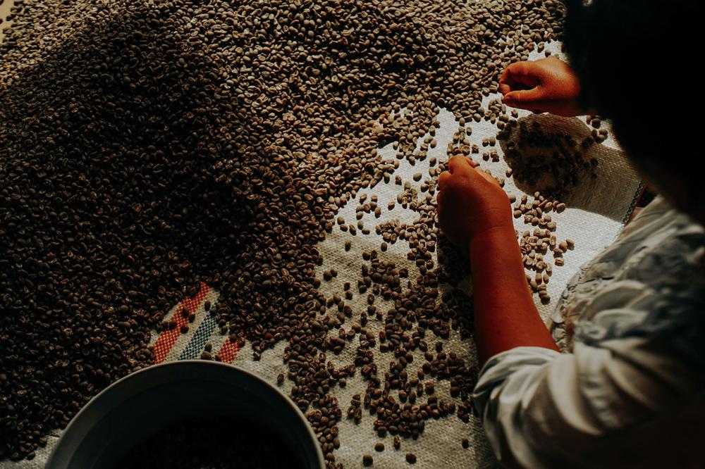 ماهي القهوة المختصة؟ ومالفرق بينها وبين القهوة المتوفرة بالاسواق