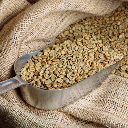 قهوة مختصه خضراء صوفيا