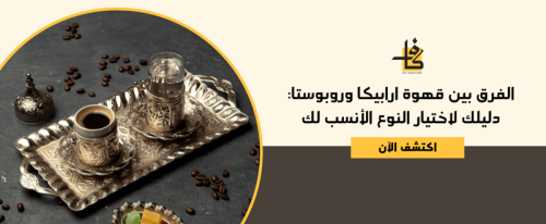 الفرق بين قهوة ارابيكا وروبوستا: دليلك لاختيار النوع الأنسب لك