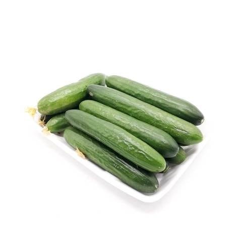 طبق خيار