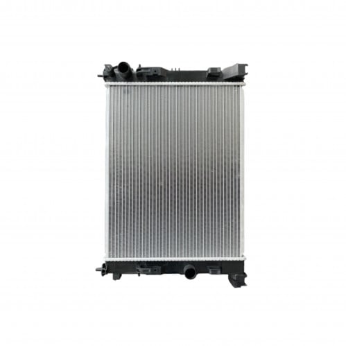 راديتر صني مكسيكية + كيكس ياباني