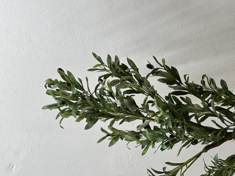 شجره الزيتون مركن ذهبي بلاستك