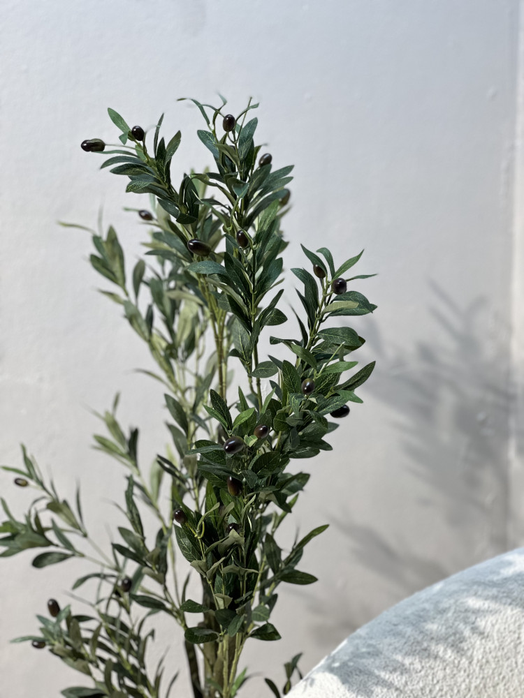 شجره الزيتون مركن ذهبي بلاستك