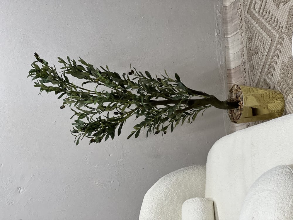 شجره الزيتون مركن ذهبي بلاستك