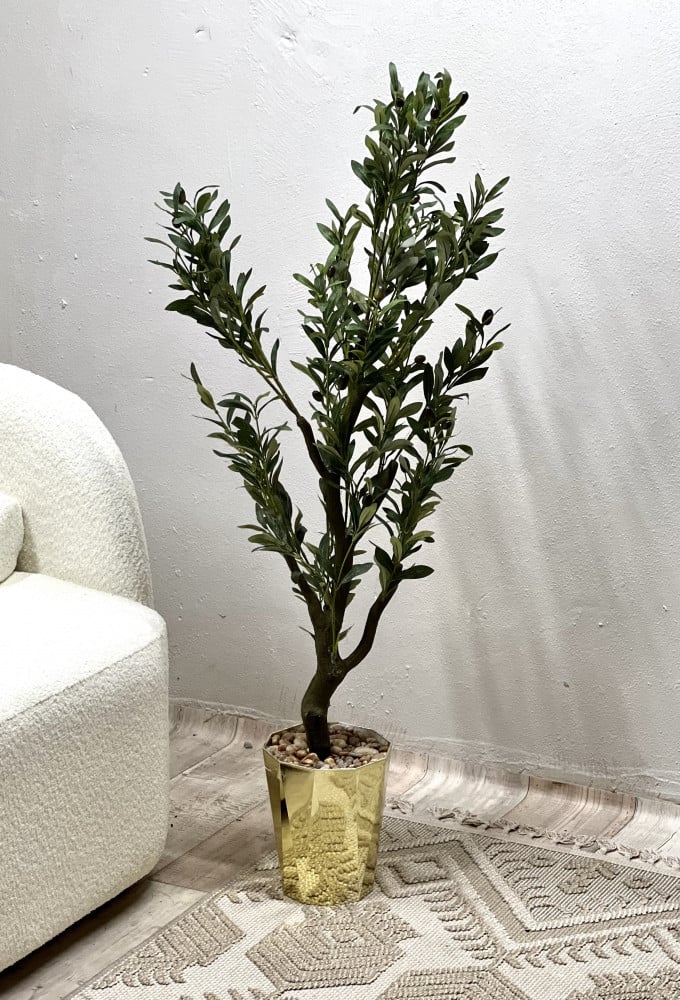 شجره الزيتون مركن ذهبي بلاستك