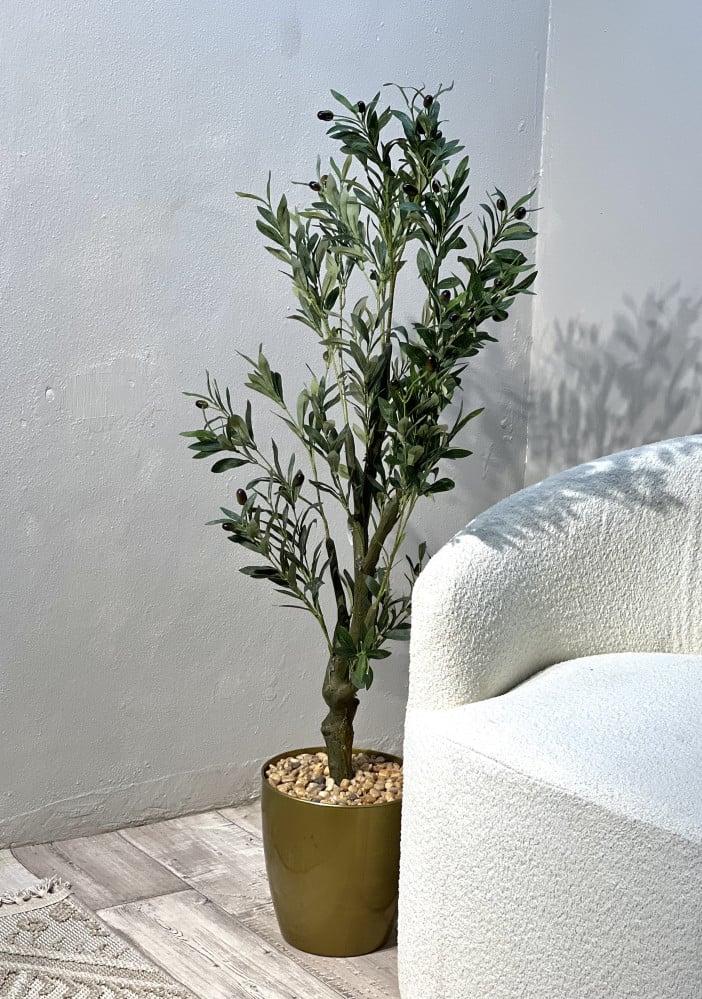 شجره الزيتون مركن ذهبي بلاستك