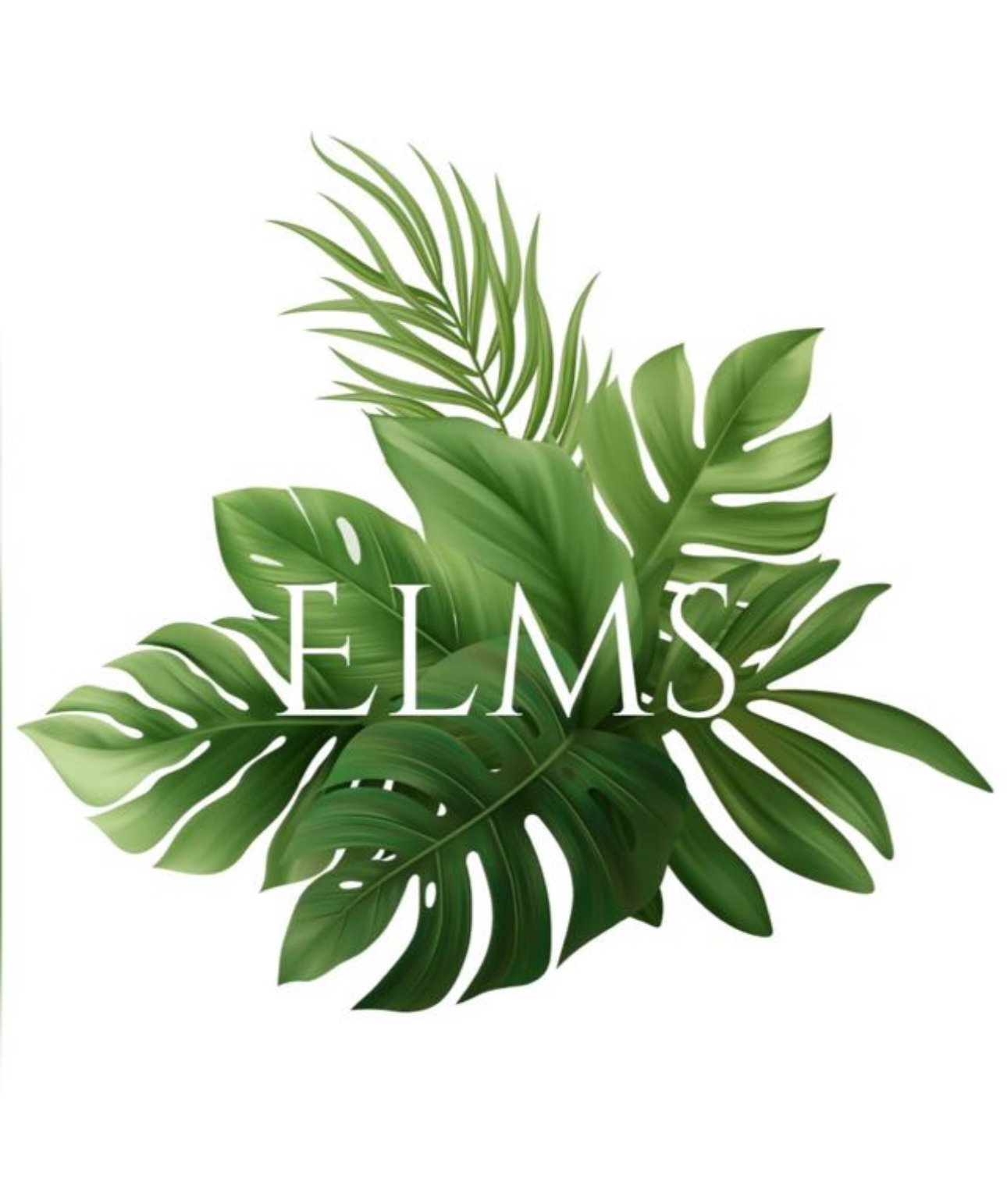 store avatar