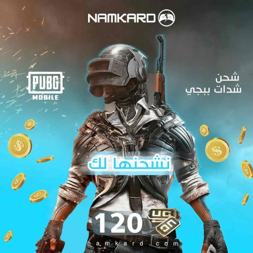 شحن شدات ببجي 120