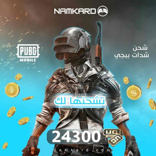 شحن شدات ببجي 24300