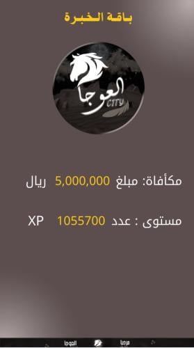 باقة الخبرة لفل 80