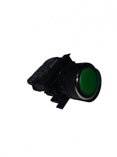 بوش بوتون لون اخضر