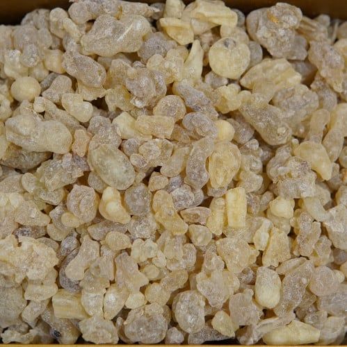 لبان حوجري عُماني