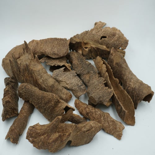 عود بوتان سوبر