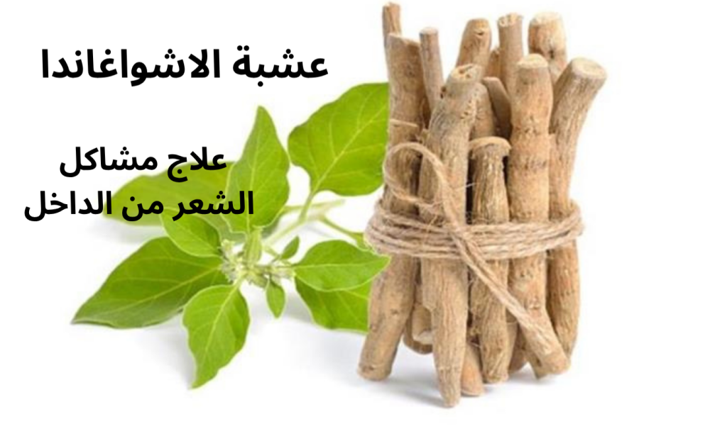 عشبة الأشواغاندا مع حنة وسدر افروهير لعلاج تساقط الشعر وتحفيز نمو الشعر