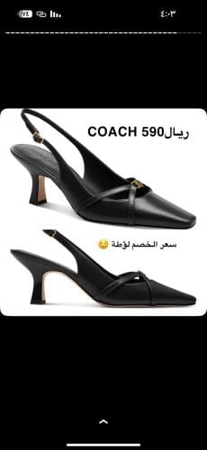 Coach 38