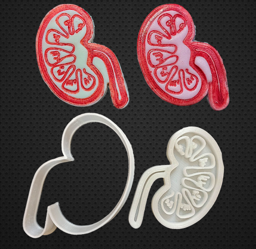 قطاعة و ختم شكل كلية