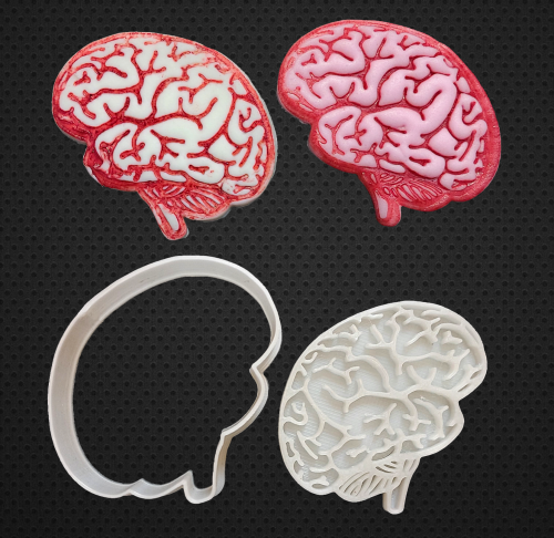 قطاعة و ختم شكل دماغ