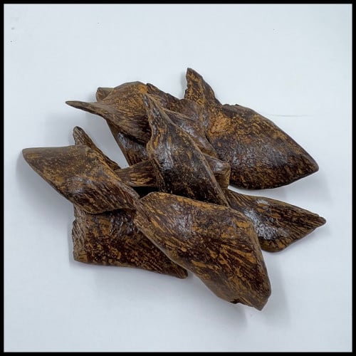 عود لولبي مروكي محسن