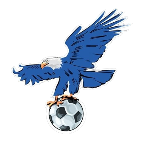 اشتراك فولشتر سنة