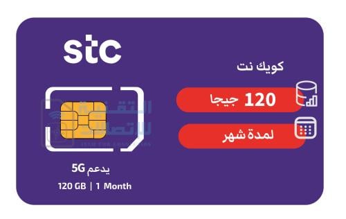 شريحة بيانات STC شهر 120 قيقا