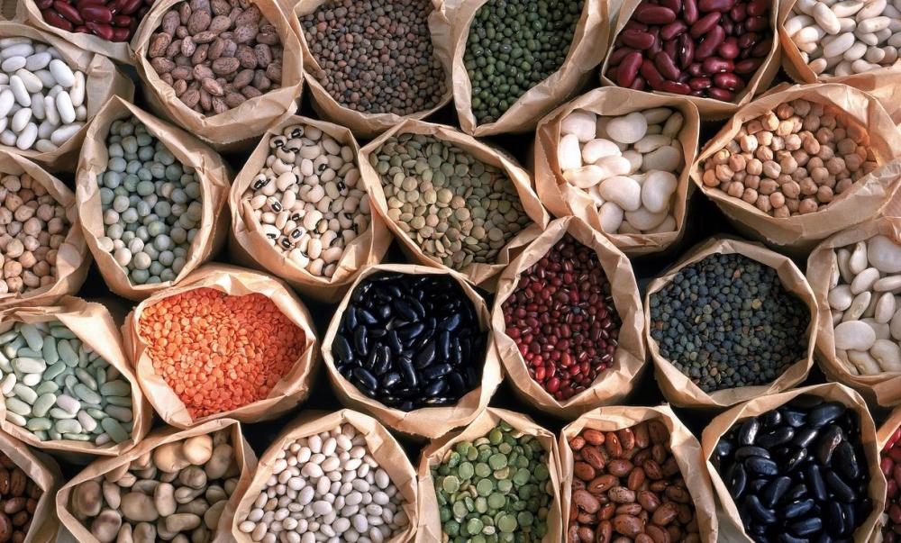 أنواع البقوليات وفوائدها في النظام الغذائي اليومي