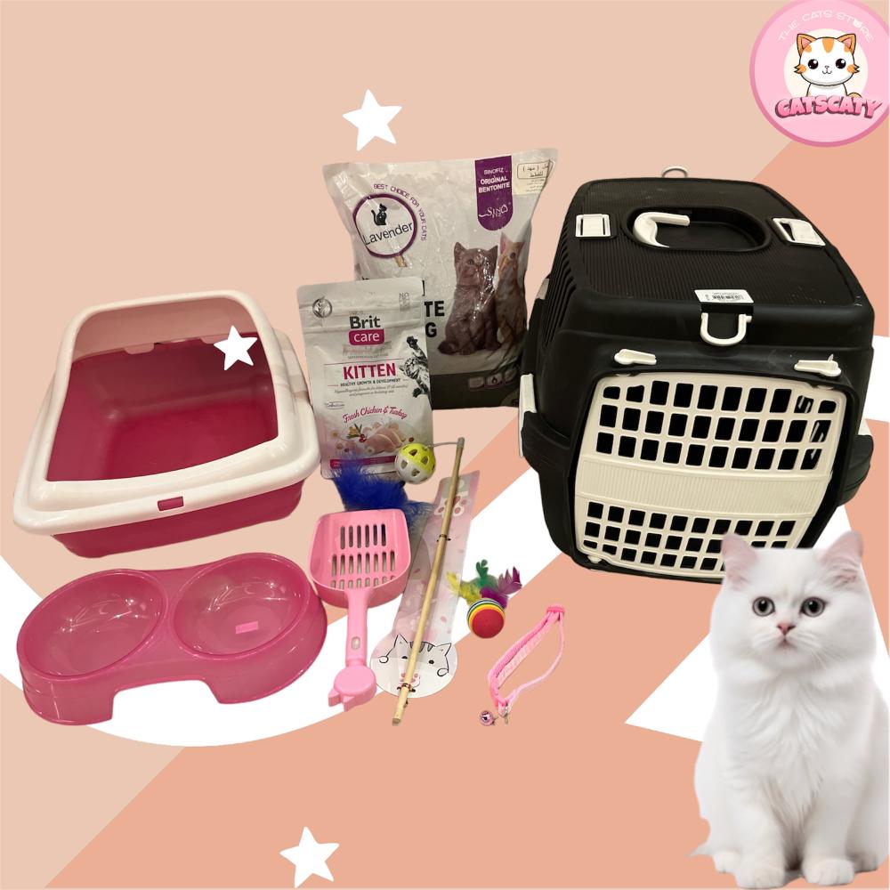 بريتش شورت هير شامل المستلزمات