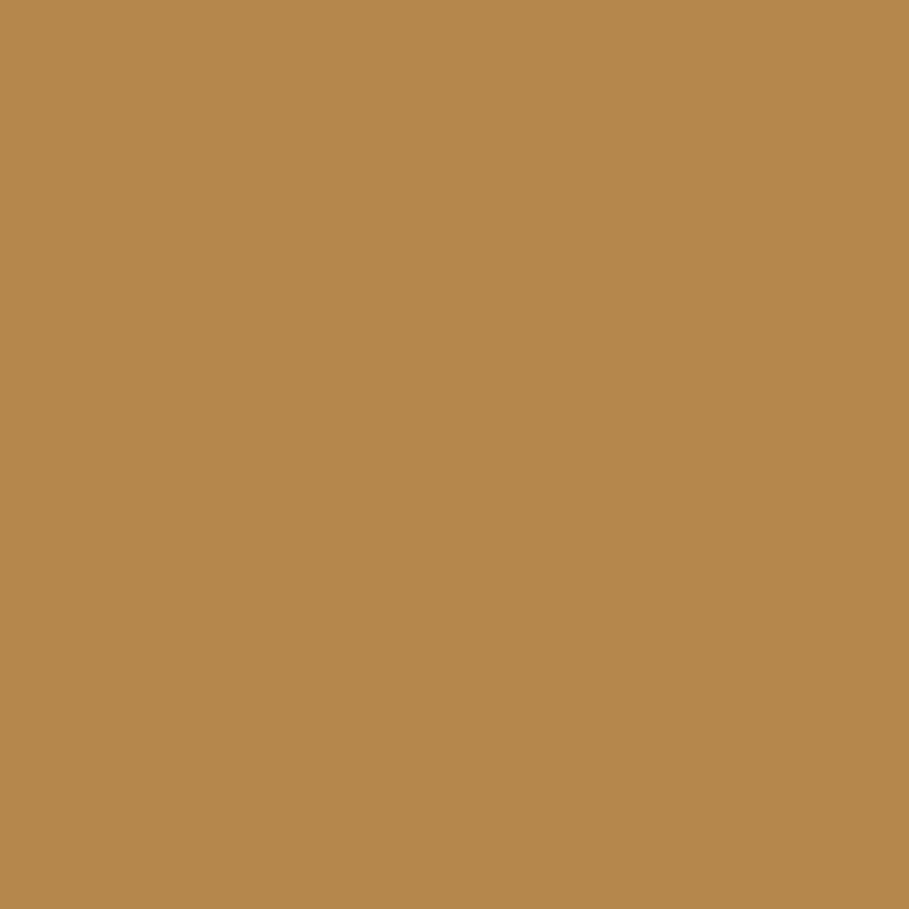 4N1 SHELL BEIGE