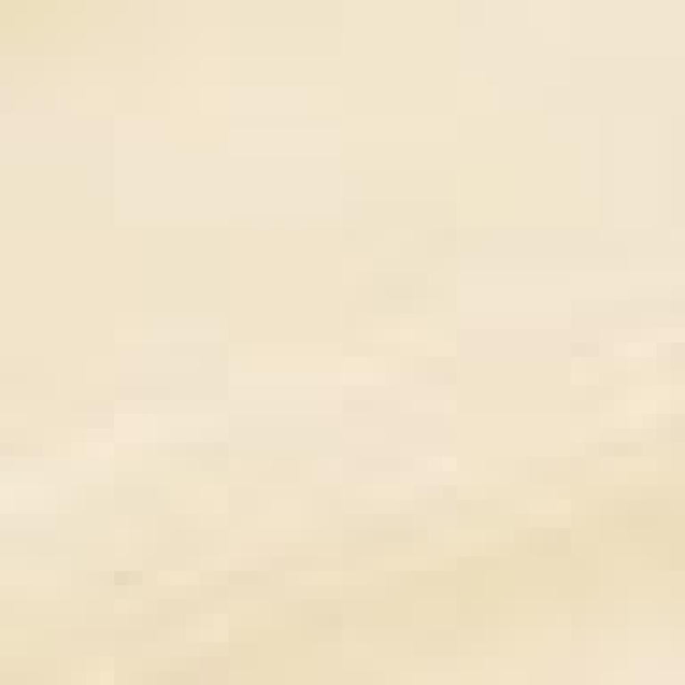 1W2 SAND