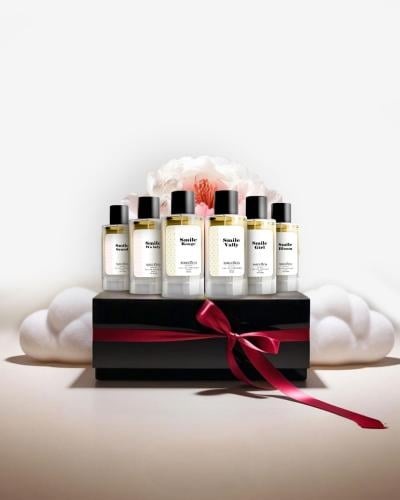 lady pllus BoX