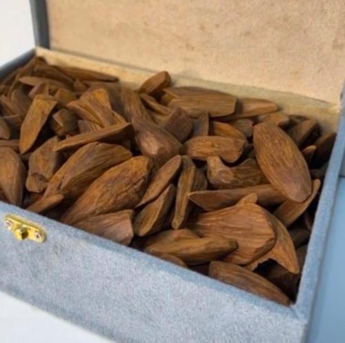 عود مروكي محسن فاخر
