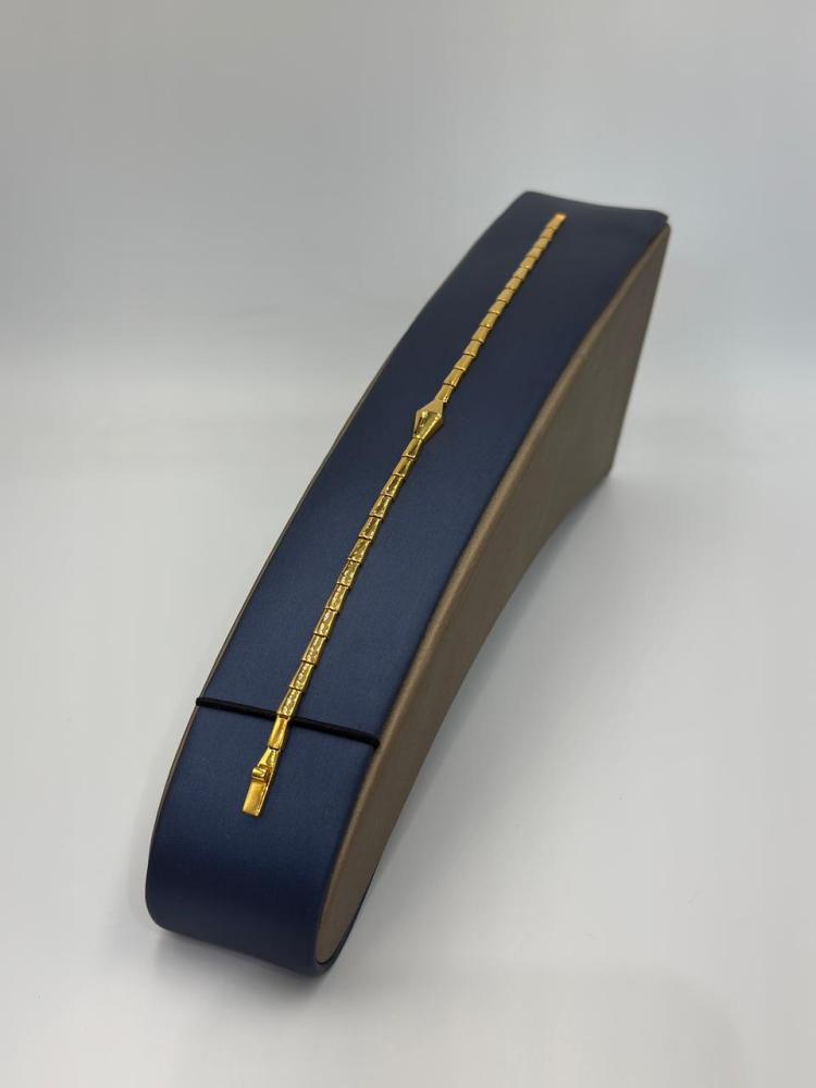 اسوارة ثعبان عيار 21