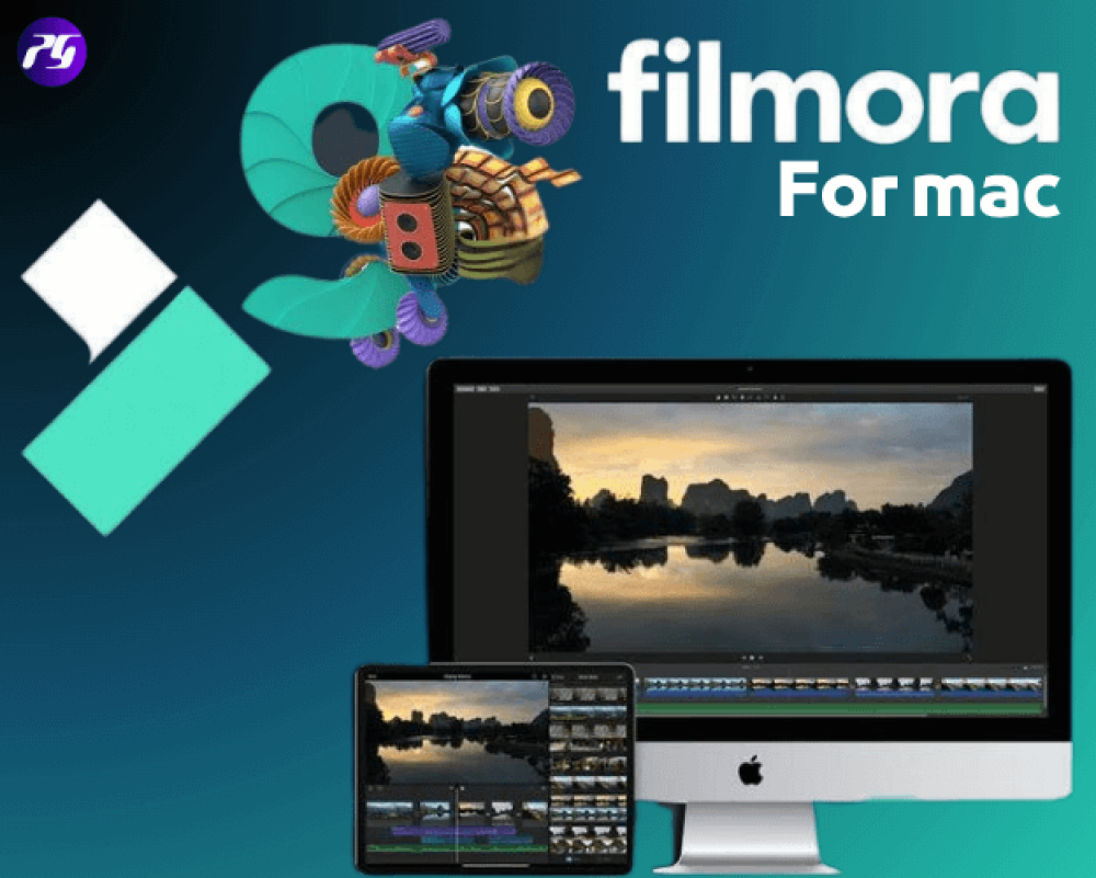 صوره توضح filomera mac بجوده عاليه للسنه