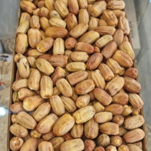 كرتون قصبة نجران يابس ٥كيلو
