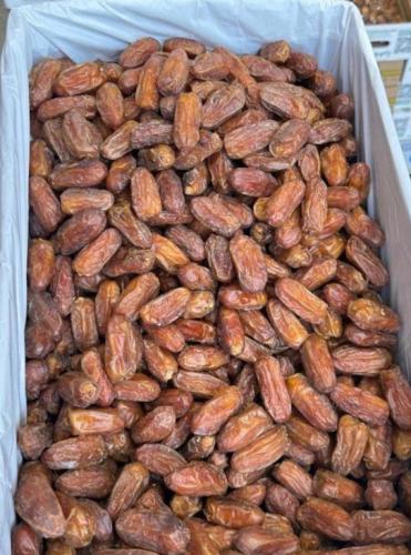 تمر صفري بيشه ملكي حبه كبير الكيلو