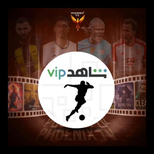 اشتراك شاههدد 24 يوم الباقه الشامله حساب مشترك