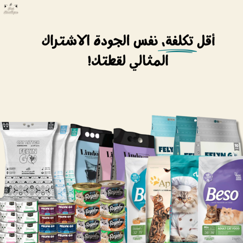 باكج الاشتراك الشهري للقطط البالغة (اقتصادي)