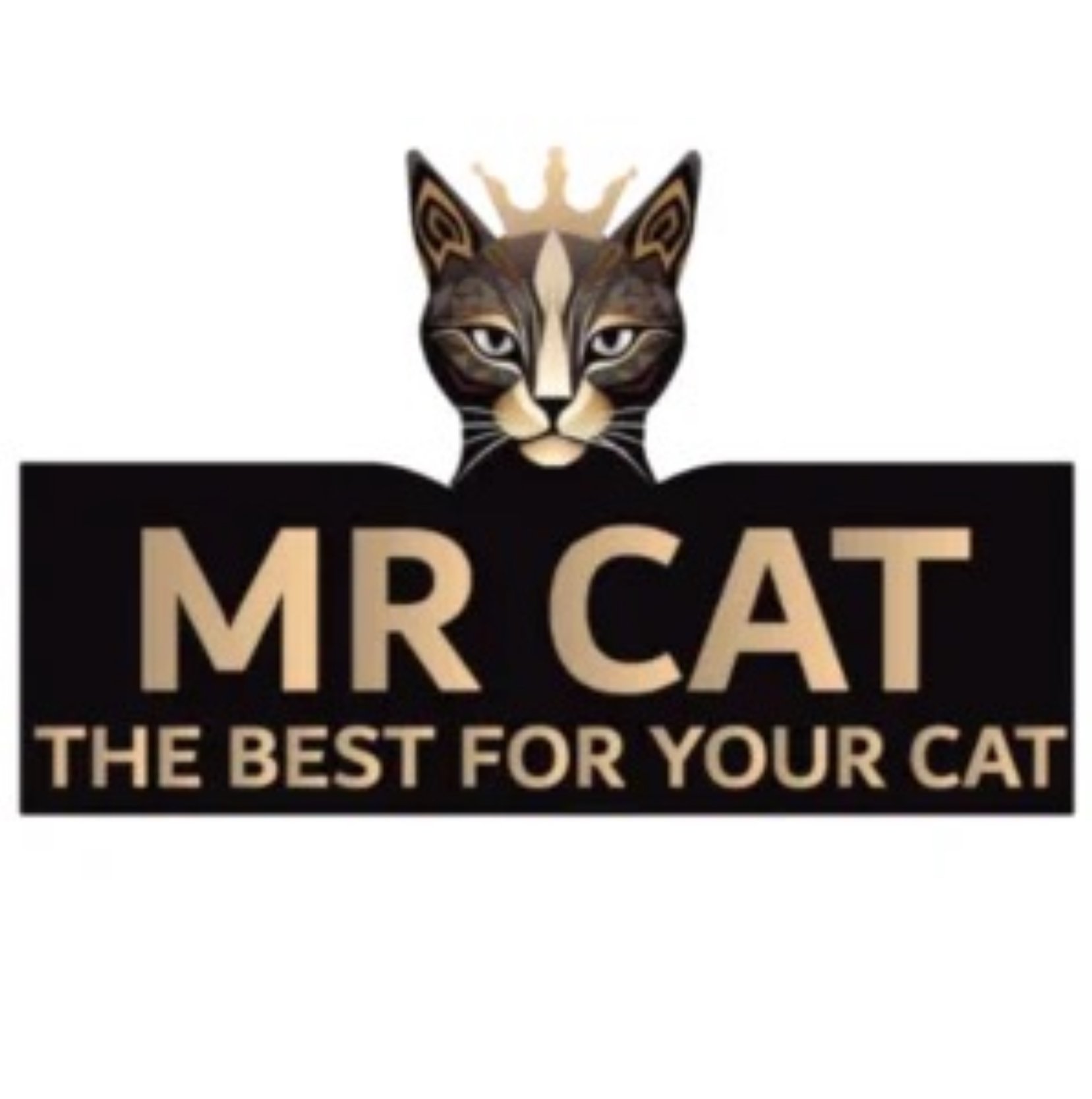 Mr cat