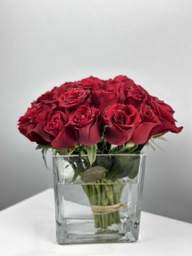 فازة قرمزي