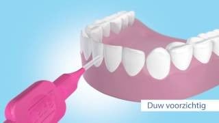 فرش مابين الأسنان ناعمة IDB PINK BLISTER