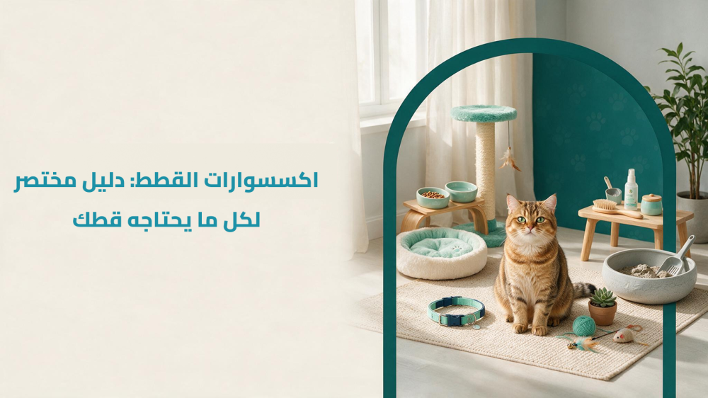 اكسسوارات قطط