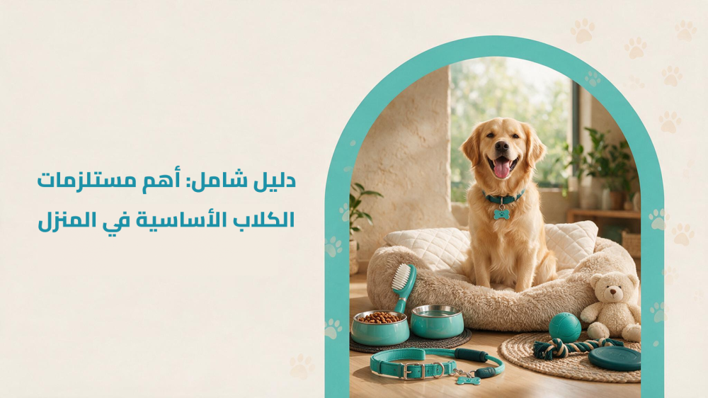 دليل شامل: أهم مستلزمات الكلاب الأساسية في المنزل